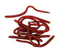 Lombrices de tierra Fidget Toys, 10 piezas juego de gusanos figuras realistas de material TPR suave para niños alivio del estrés rojo 18 cm goma ideal como juguete sensorial para la escuela, la