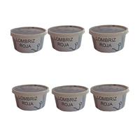 Lombrices vivas variedad Dendrobaena. Tarrina con 20 unidades de lombrices adultas. Lombriz de tierra vivas. Ideal para elaborar compost. Aptas para uso en pesca. Vermicompostador. (6)