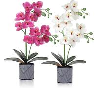 LOMOHOO Flores artificiales de orquídeas 2 unidades de orquídeas en macetas,orquídeas falsas con jarrón de plástico para decoración de mesa,decoración del hogar oficina boda decoración