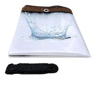 Lona C resistente para exteriores, 3 x 7 m, impermeable, de PVC, a prueba de polvo y lluvia, cubierta transparente para plantas con ojales, para patio, jardín y uso al aire libre