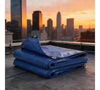 Lona con Ojales 4.6 x 8 m PVC Resistente a Los Rayos UV Desgarros Cubretodo Múltiples Usos con Ojales Duradera Multiusos para Muebles Jardín Piscina Coche Gris, Azul