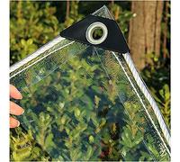 Lona de PVC transparente de 2,5 m x 2,9 m, protector de piel impermeable para jardín, cortinas de lluvia resistentes al frío, protección vegetal transparente, ojales reforzados, resistente a la