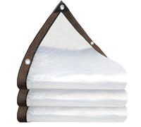 Lona Impermeable Exterior 60 x 170 cm Resistente a Los Rayos UV Al Desgarro, Prueba de Viento, Resistente a Las Heladas Plástico Lona Transparente para Muebles de Jardín, Color Transparente