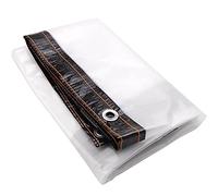 Lona Transparente Exterior Impermeable con Ojales, Toldo Reforzado Antilluvia y Resistente UV para Muebles de Jardín, Terraza, Plantas e Invernadero, Aislamiento Térmico con Cuerda, 3x2.5m