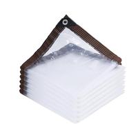 Lona Transparente Multiusos Lonas Transparente Resistente Resistente A Desgarros Paño De Lluvia Cubierta Antipolvo con Ojales para Muebles De Jardín, Piscina, Coche(4x7m)