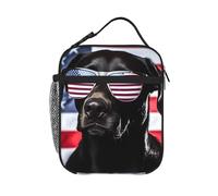 Lonchera con diseño de perro Labrador negro americano, bolsa térmica para el almuerzo para hombres y mujeres, asa desmontable, bolsa de transporte para la comida, diseño de perro Labrador negro ame