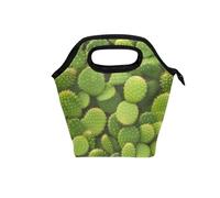 Lonchera grande aislada con asa curvada, lonchera grande para hombre, resistente al agua, para trabajo, camping, cactus, verde