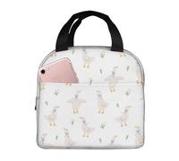 Loncheras aisladas para hombres y mujeres, para el trabajo, diseño de dibujos animados, lindo y divertido tulipán, bolsa térmica suave para viajes, resistente al agua, lonchera pequeña para adultos