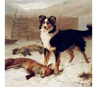 Lonesome Southern Comfort Company, The - The Big Hunt