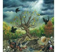 Long Arm - The Branches (Deluxe) [Import] [Vinilo]