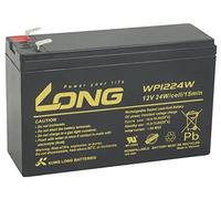 LONG Batería de Plomo-ácido PBLO-12V006-F2AH HighRate F2 (WP1224W), 12 V