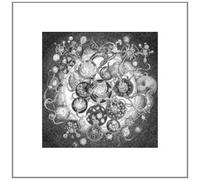 Long Distance Callin - Long Distance Calling - Ed. Vinilo- [Vinilo]