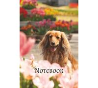 Long-haired Dachshund in Pink Notebook: Long-Haired Dachshund Surrounded by Soft Pink Flowers | Writing Notebook for Dachshund Lovers | 6 x 9 inches, 120 college ruled pagespages