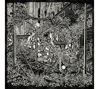 Long, Jake - City Swamp [Vinilo]