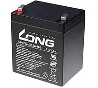LONG PBLO-12V005-F2AH - Batería de plomo y ácido (12 V, 5 Ah)