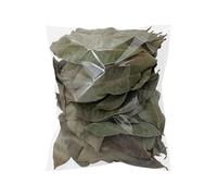 Longan Leaf Litter, Aquarium Leaf Litter, 50 Pieces Natural Pet Supplies | Aquarium Longan Leaf Litter for Geckos Fish Snakes Shrimp Lizards Small Animal Habitats Home Indoor Outdoor Water