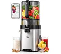 LONGCAO Exprimidor de prensado en frío, Boca de 165 mm, Motor DC de 600 W, Lento Masticador con Cuchilla precorte, 2 coladores para Zumo, Leche Vegetal y Sorbete, Alto, Silver, 165MM Feed Chute