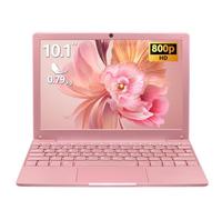 Longevevinice - Mini ordenador portátil de 10,1 pulgadas, procesador Celeron N4020, 1280 x 800, memoria 8G, BT5.0, tipo C, USB3.0 x 2, mini HDMI, tarjeta TF,0,79 kg (oro rosa, 8GB+512G SSD)