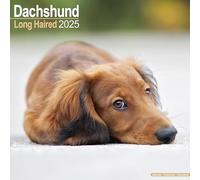 Longhaired Dachshund Calendar 2025 Square Dog Breed Wall Calendar - 16 Month