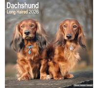 Longhaired Dachshund Calendar 2026 Square Dog Breed Wall Calendar - 16 Month
