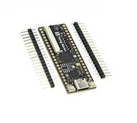 Lonrtesw Placa de Desarrollo FPGA Minimalista Tang Nano de 1 Pieza Placa de Pruebas de InsercióN Recta Placa de Desarrollo Tang Nano 1K