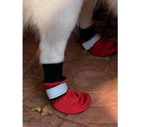 LONSUNEER Botas protectoras de patas de invierno para perro, impermeables, suela suave y antideslizante, juego de 4 unidades, color rojo, talla M