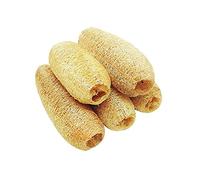 Loofah entera natural sin blanquear - Depurador corporal para baño, cocina, fabricación de jabón, cero residuos antibacterianos sin procesar Luffa 6 pulgadas aproximadamente (15)