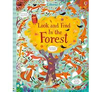 Look And Find In The Forest