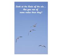 Look at the birds of the air: Are you not of more value than they?