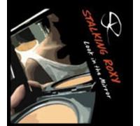 Look in the Mirror by Stalking Roxy (2004-09-14)