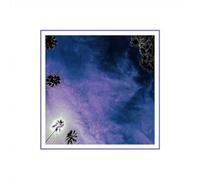 Look Outside Your Window - CD