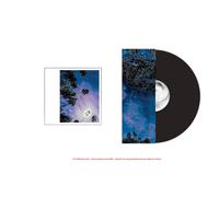 Look Outside Your Window - Vinilo