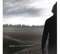 Look What You Made Us Do