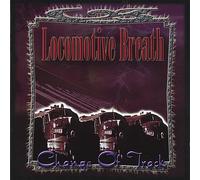 Looking Back at Life