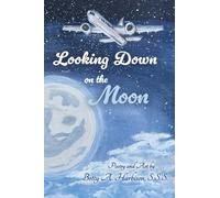 Looking down on the Moon