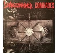 Looking for An Answer - Split [Vinyl Single]