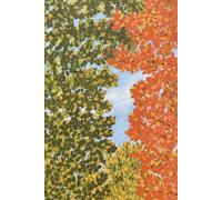 Looking Up Through the Leaves Journal