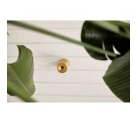 LOOM DESIGN plafón LED Nyx, latón, IP54 True