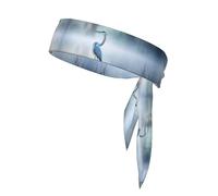 Loon Nature Bird - Cintas deportivas para la cabeza, unisex, para entrenamiento, para tenis, ninja y correr