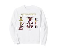Looney Tunes Wile E. Coyote Retro Color Code Sudadera