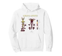 Looney Tunes Wile E. Coyote Retro Color Code Sudadera con Capucha