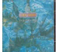 Loop Guru - Loop Bites Dog