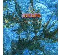 Loop Guru - Loop Bites Dog