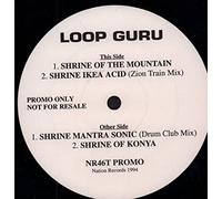 Loop Guru - Shrinic Visions 1/4