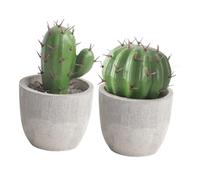 LOORGVEL 2 Piezas Cactus Artificiales Bonsái Decorativos de Escritorio Mini Suculentas Realistas para Decoración Estética de Hogar y Oficina sin para Jardín Interior y Exterior
