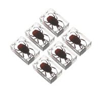 LOORGVEL 6 piezas Especímenes de de Insectos con Escorpión Escarabajo y Araña Colección Artesanal Decorativa Duradera para Amantes de Animales