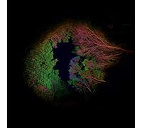 Lopez Francisco - Hidden Island Music (untitled #398) [Vinilo]