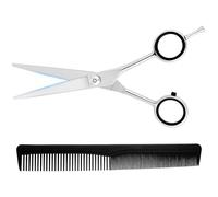 LOPHE Tijera de Peluquería Profesional, 2 Piezas Herramienta de Peluqueria, Tijera de Peluquería de Corte y Peine de Pelo Kit, Tijeras de Peluquero Acero Inoxidable, Hair Scissors (Plata+Negro)