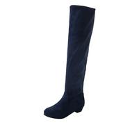 LOPILY Botas Descanso Nieve Autumn And Winter Fashion Solid Color Simple Comfortable Thick Bottom Back Zipper Round Toe Square Heel (Blue, 42)