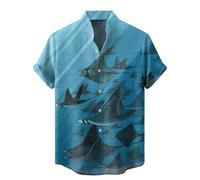 LOPILY Cilindro Top de Manga Corta con Cuello y Estampado 3D para Hombre, Camisa Informal de plumón para Playa y Verano (Blue, L)